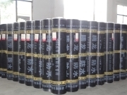 【防水卷材】相冊(cè)、圖片- 湖南騰龍科技集團(tuán)